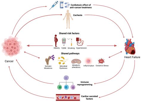 diseases that are similar to tumor
